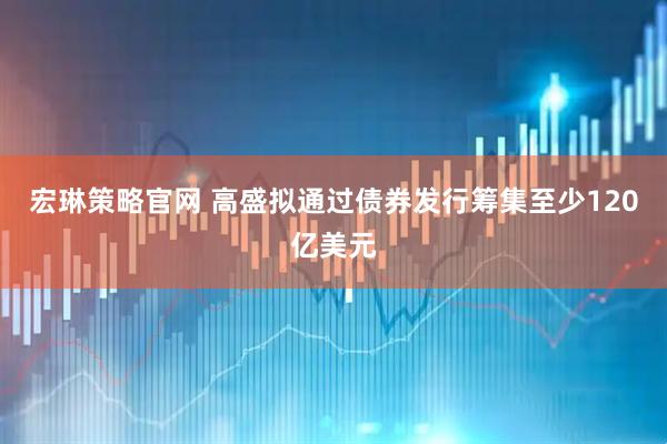 宏琳策略官网 高盛拟通过债券发行筹集至少120亿美元