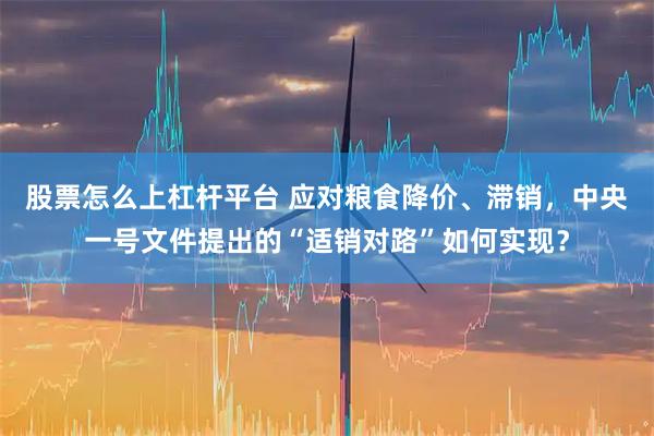 股票怎么上杠杆平台 应对粮食降价、滞销，中央一号文件提出的“适销对路”如何实现？