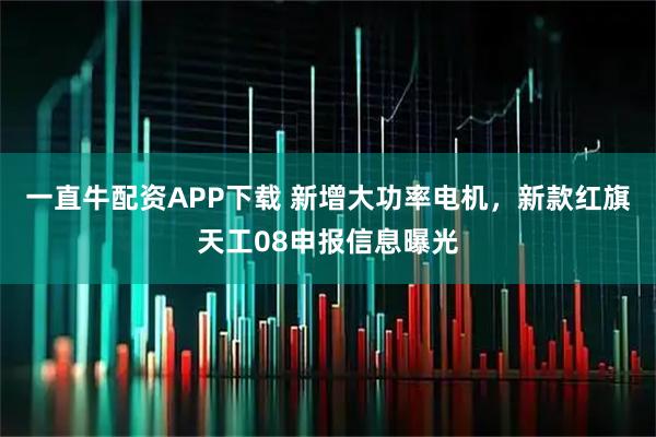 一直牛配资APP下载 新增大功率电机，新款红旗天工08申报信息曝光